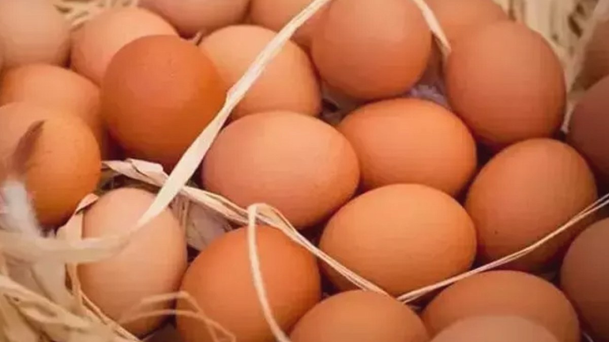 TÜİK'in verileri ortaya koydu: Tavuk eti, yumurta ve içme sütü üretimi azaldı