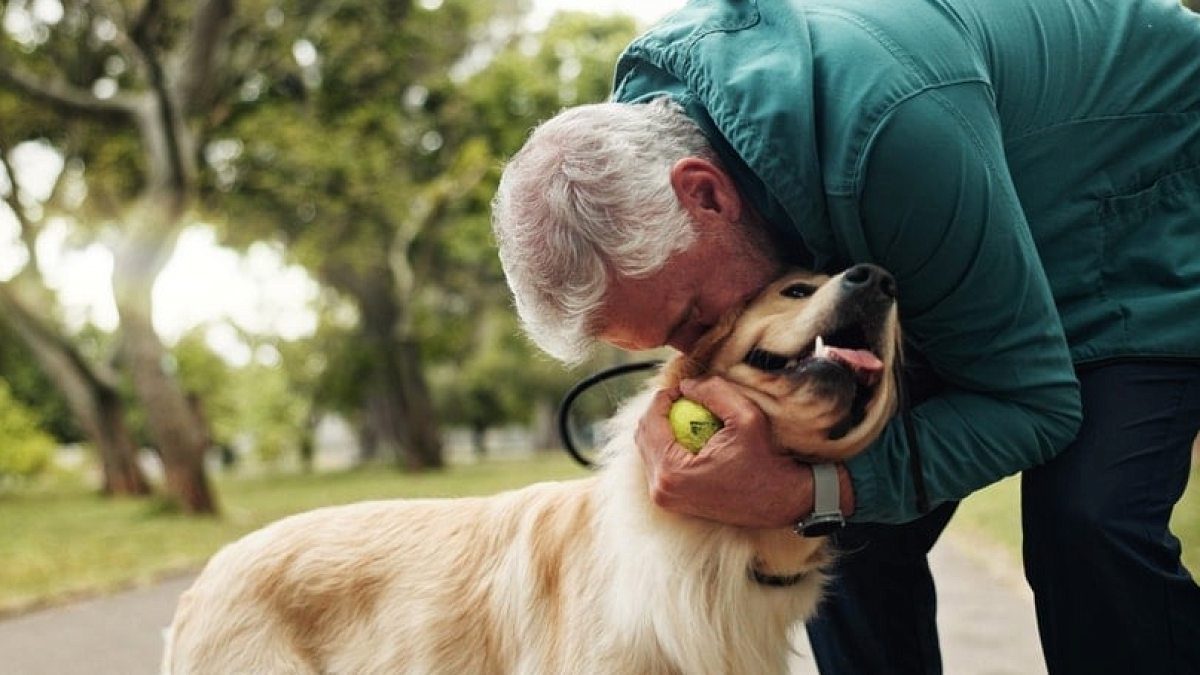 Bu ilacı alan köpekler insanlar kadar uzun yaşıyor