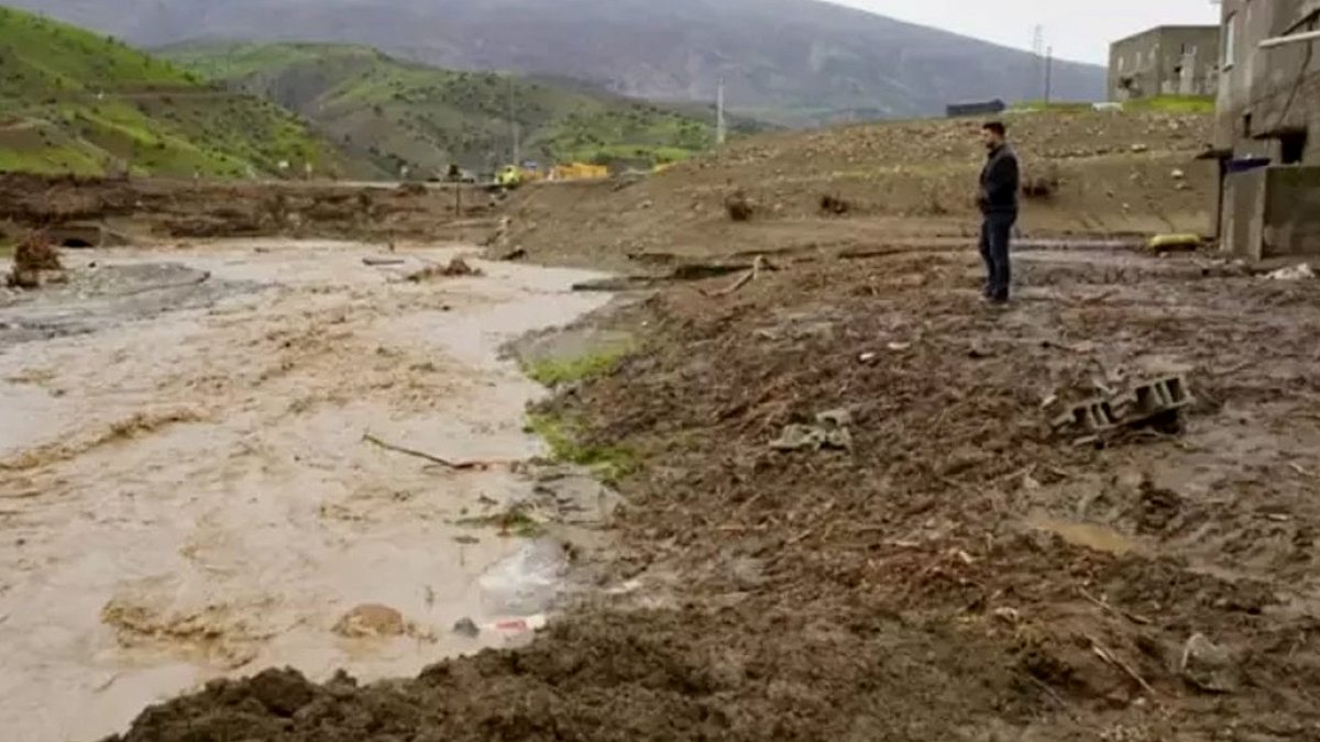 Siirt’teki selde hayvanlar akıntıya kapılarak öldü