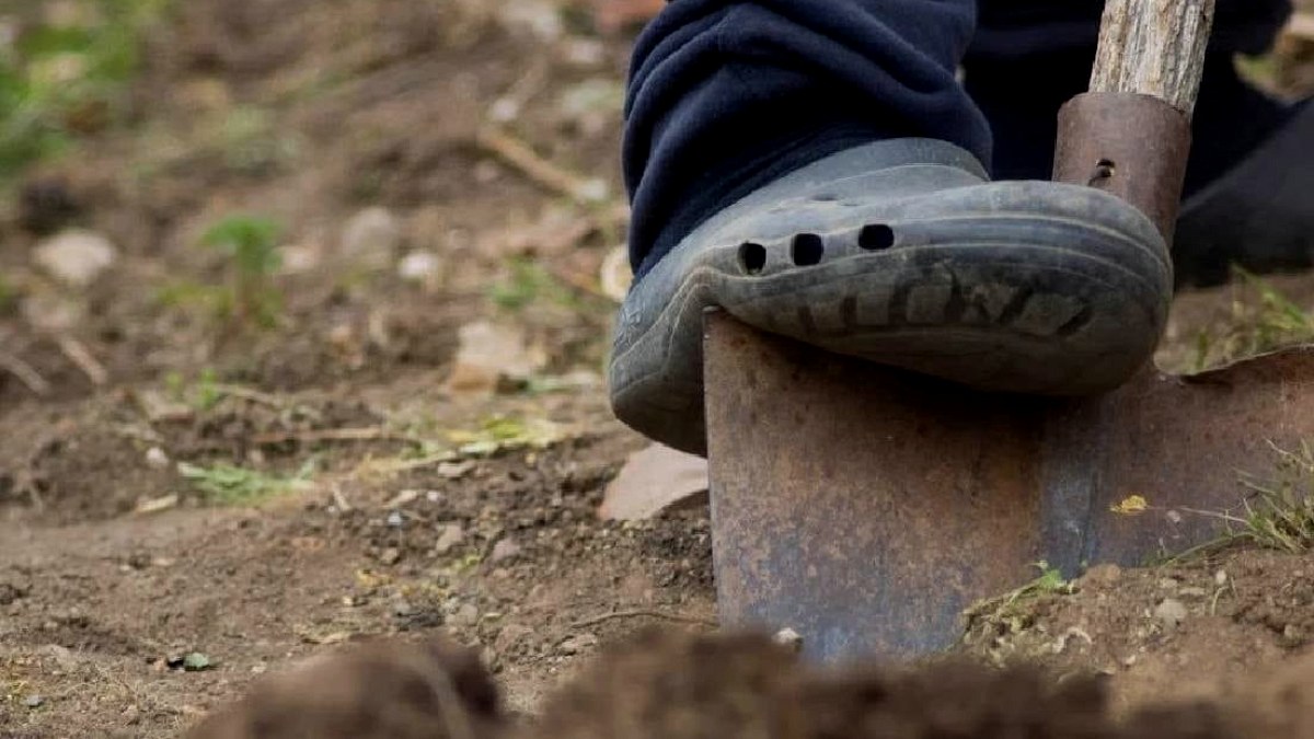 Bahçesini temizleyen kadın  boy boy 17 bebek buldu: Korkunç gerçek toprak altında çıktı