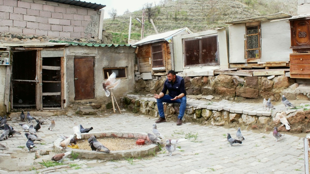 Hobi olarak başladığı güvercin tutkusunu 35 yıldır sürdürüyor