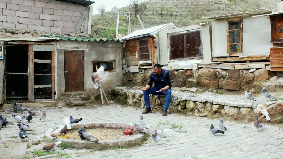 Tek bir tanesini ev parasına satıyor