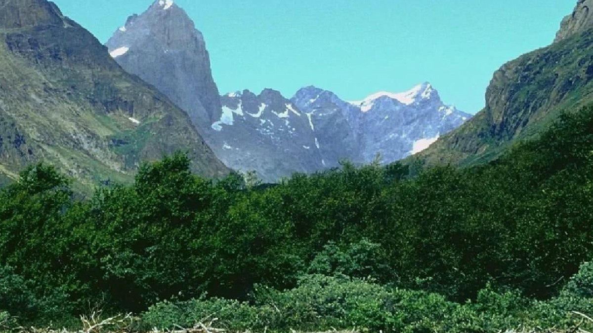 Dört bir yanı buzlarla çevrili ülkenin gizli hazinesi: Yemyeşil bir cennet
