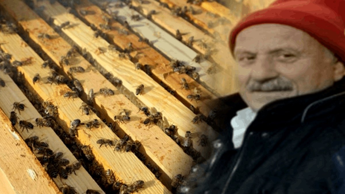 Kovana bakım yaparken canından oldu: Arı boğazından soktu!