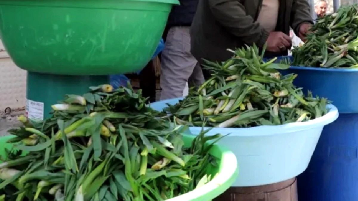Tezgahlarda yerini aldı, kilosu 500 TL: Kapış kapış satılıyor