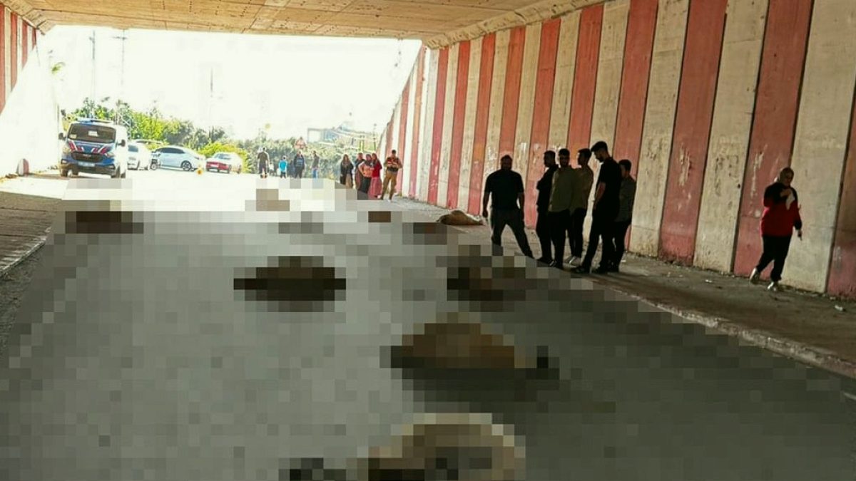 Otomobil koyun sürüsüne daldı, 18'i öldü