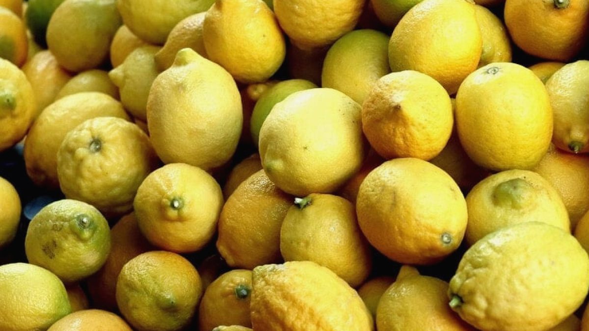 Dünya Türkiye’nin meyvesi için sıraya girdi: 3 ayda tam 700 milyon dolar kazandırdı