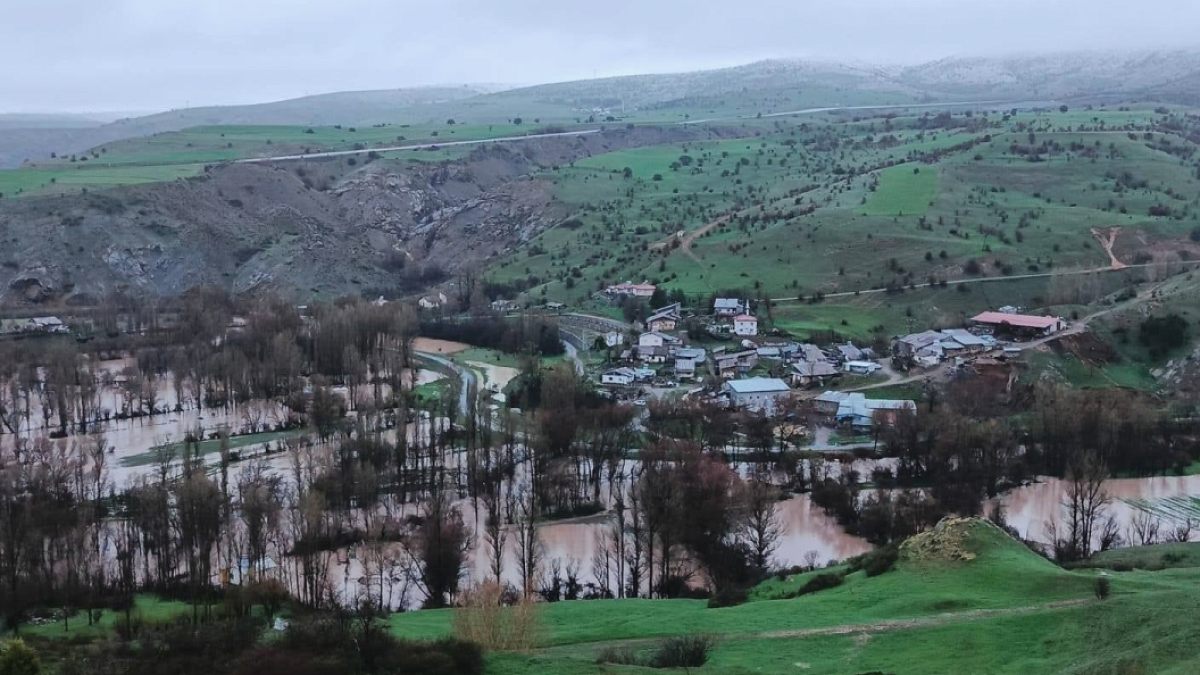 Sağanak nedeniyle Kızılırmak taştı; ev ve ahırları su bastı
