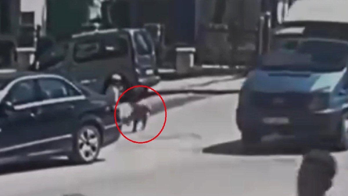 Dedesiyle parktan dönüyordu... 3 yaşındaki Yakup Can'ın ölümünde yürek yakan detay