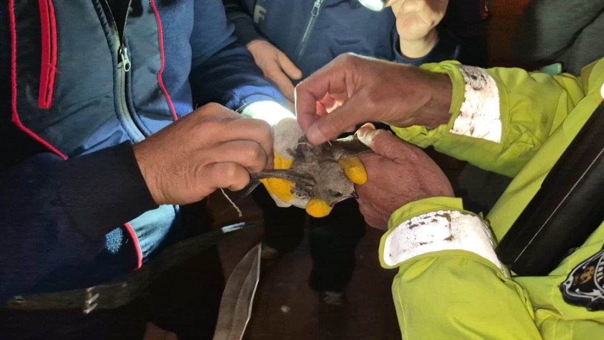 Ebabili kurtarmak için cadde trafiğe kapatıldı