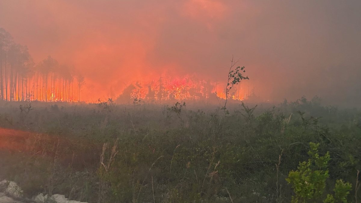 ABD'de en az 120 ev yangında kül oldu