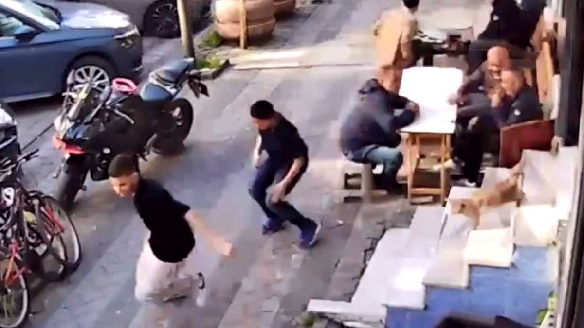 Çılgın kedi kuaförü birbirine kattı! Müşteriler merdivenden atlayarak kaçtı