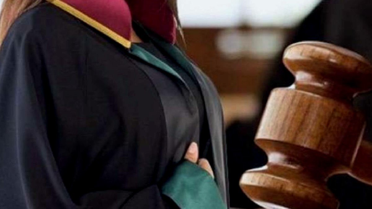 Avukatlığı bıraktı yeni işi sayesinde servet sahibi oldu