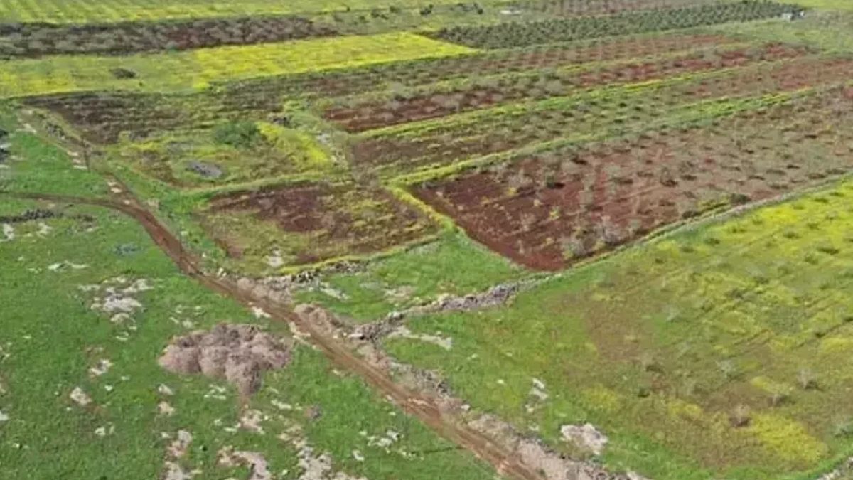 Japonlar ve Çinliler 2 ilçemize göz dikti: Yıllarca kazacaklar