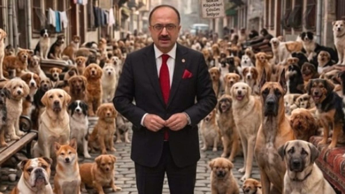 AKP'li vekil, 'köpek demeyin it deyin" buyurdu! Bu milletin 450 bin lira maaş ödediği vekilin derdine bakın...