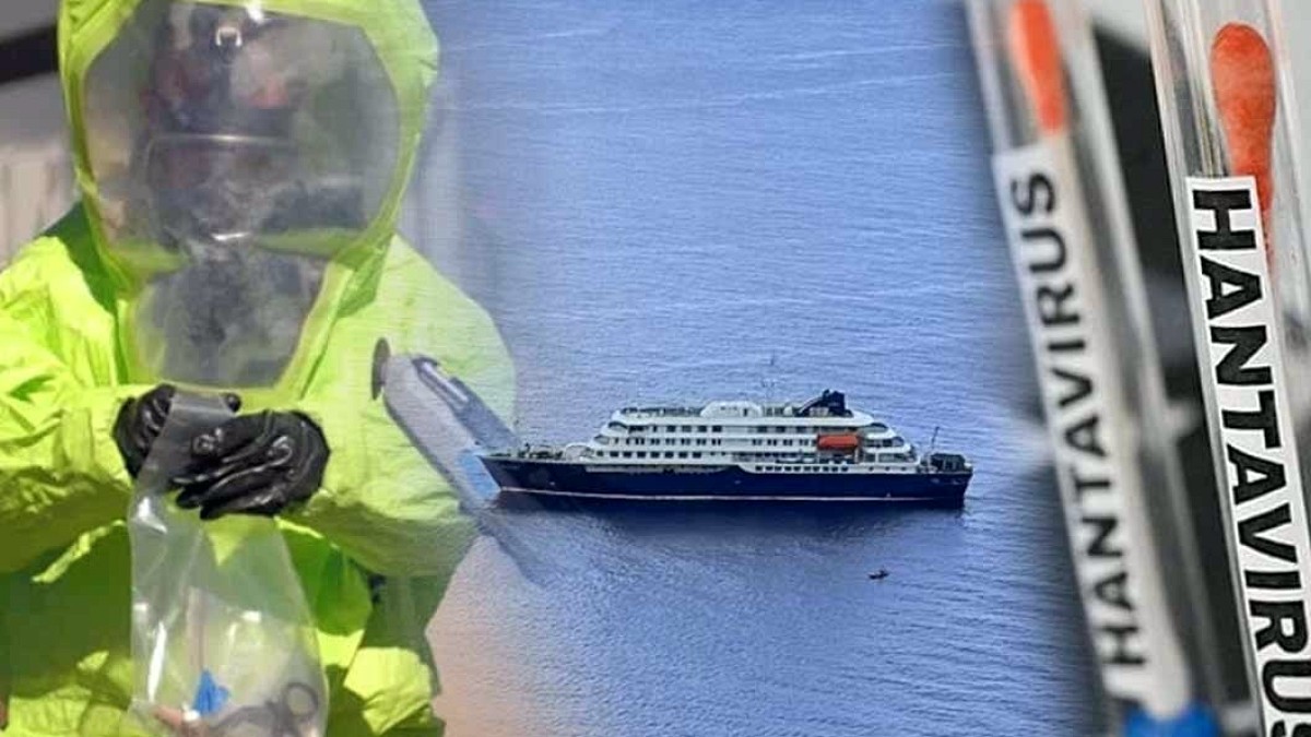 Sıradan bir virüs değil: Gemi yolcularını esir alan hantavirüs insandan insana nasıl yayılıyor?
