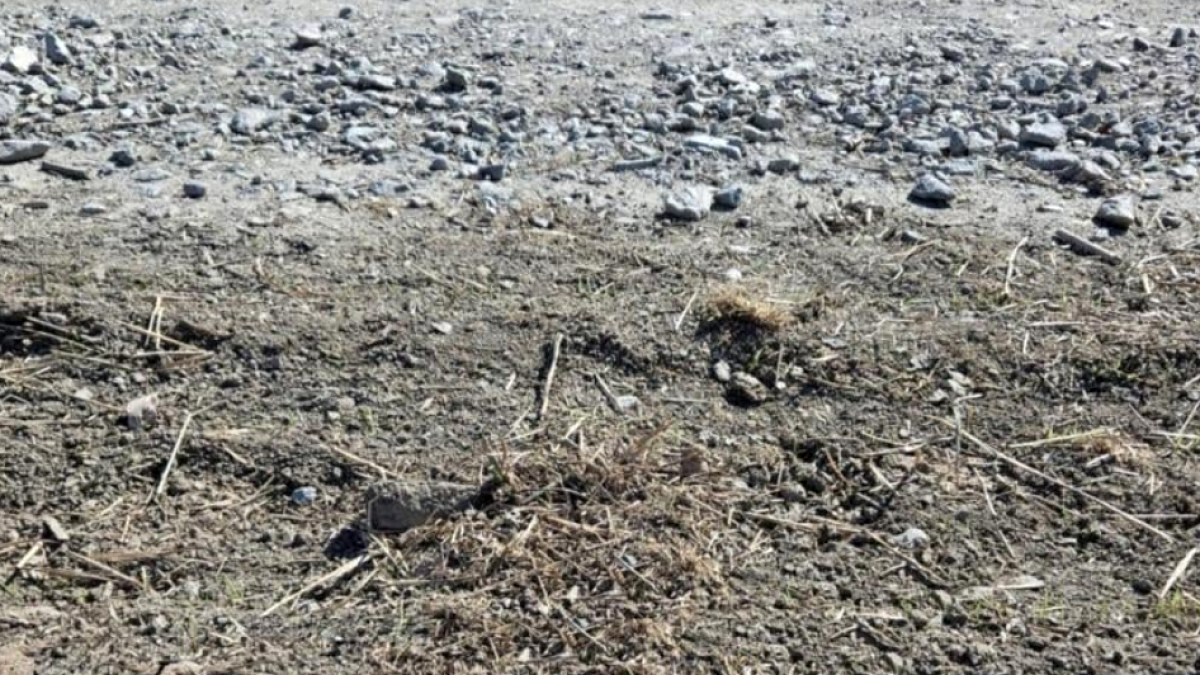 6 yaşındaki çocuk tarlanın ortasında hazine buldu