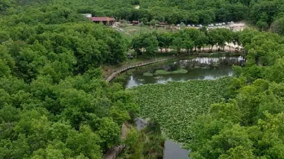 Çamurun içinde kökleniyor koparan servet ödüyor