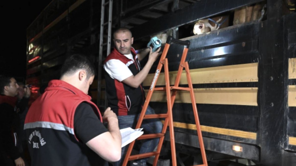 Testi geçemeyen geri gönderiliyor: Kamyonlar sıralandı on binlercesini İstanbul'a taşıyor