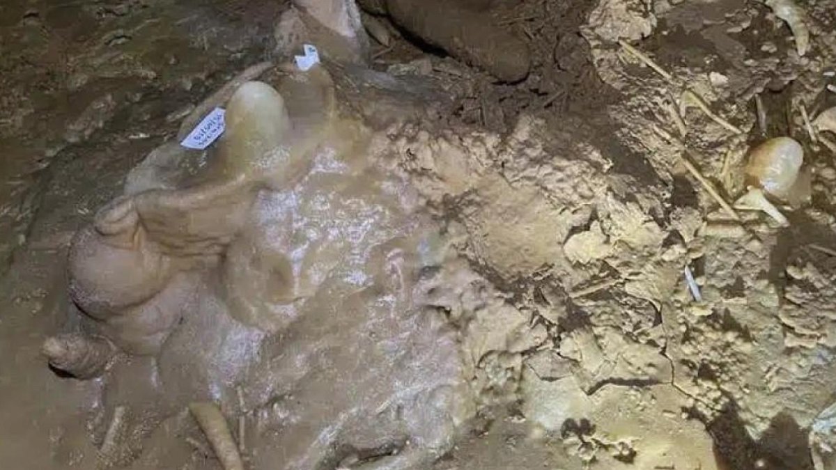 Gördükleri şey karşısında dona kaldılar: Dünyayı ayağa kaldırdı