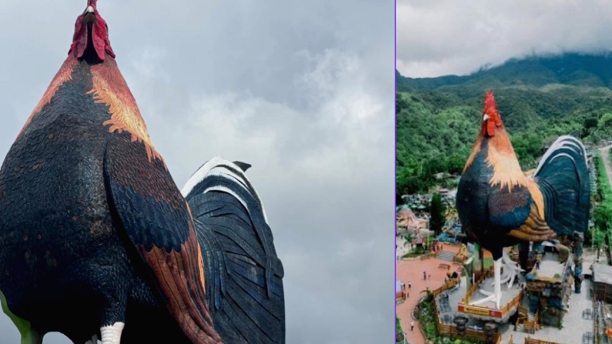 Filipinler'de 35 Metrelik Horoz Otel Guinness Rekoru Kırdı