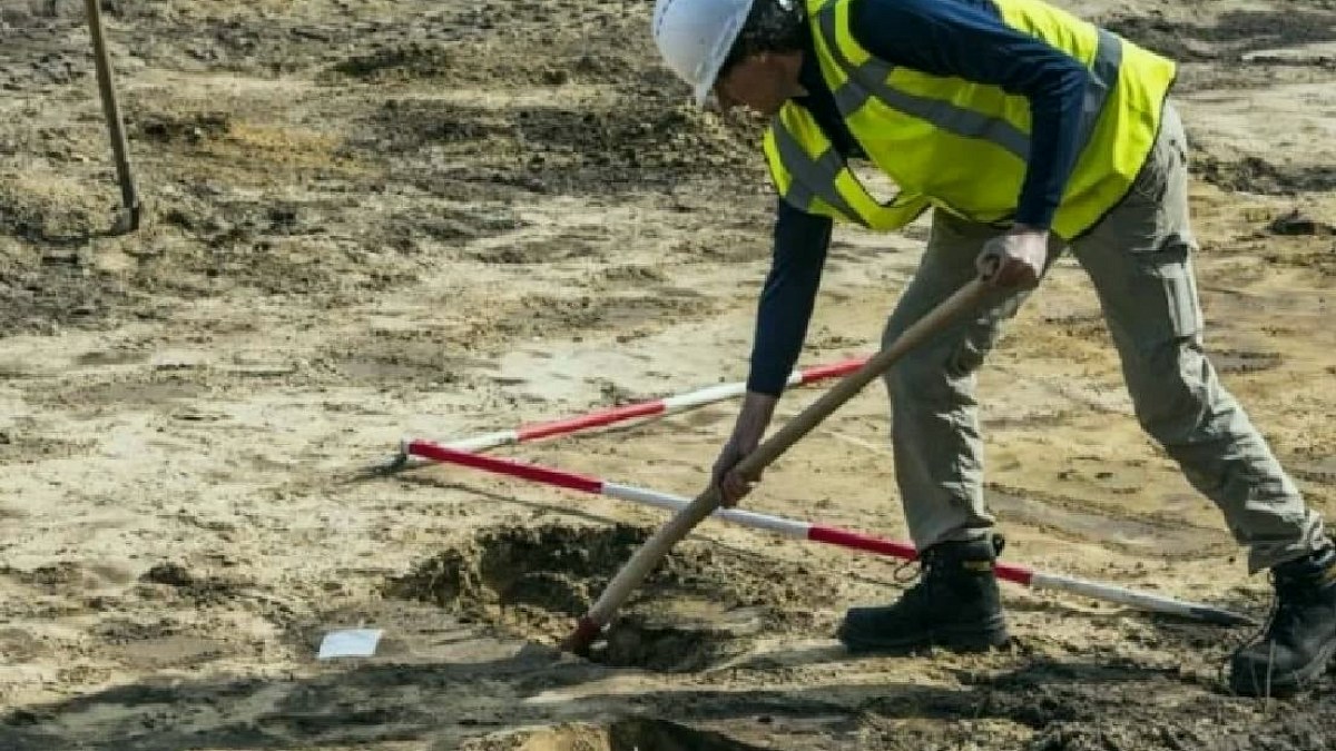 Polonya'da Mavi Kanlı Antik Yaratık Fosili Keşfedildi