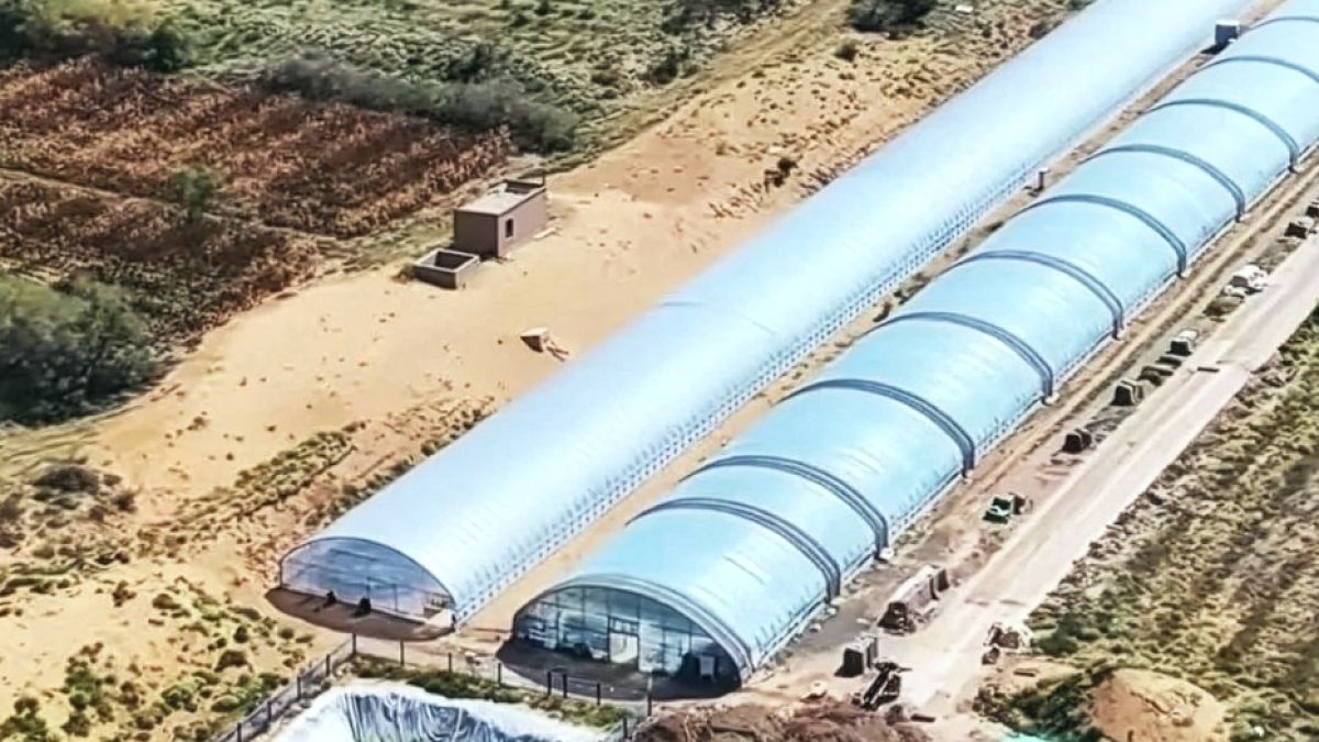 Çöl Kumundan 10 Ayda Verimli Toprak: Çin'de Devrim Yaratan Yöntem