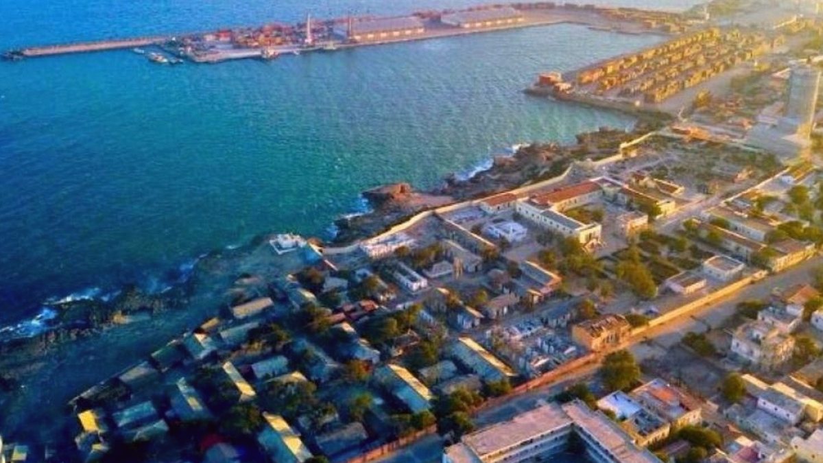 Türkiye'nin Cömertliğine Vize Engeli: Somali'nin Tutumu Tepki Çekti