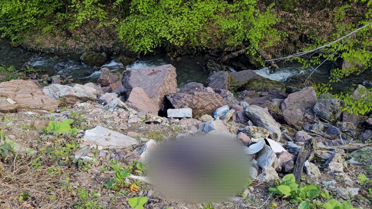 Düzce'de Kan Donduran Cinayet: Dere Kenarında Bulunan Cesedin Sırrı Çözüldü