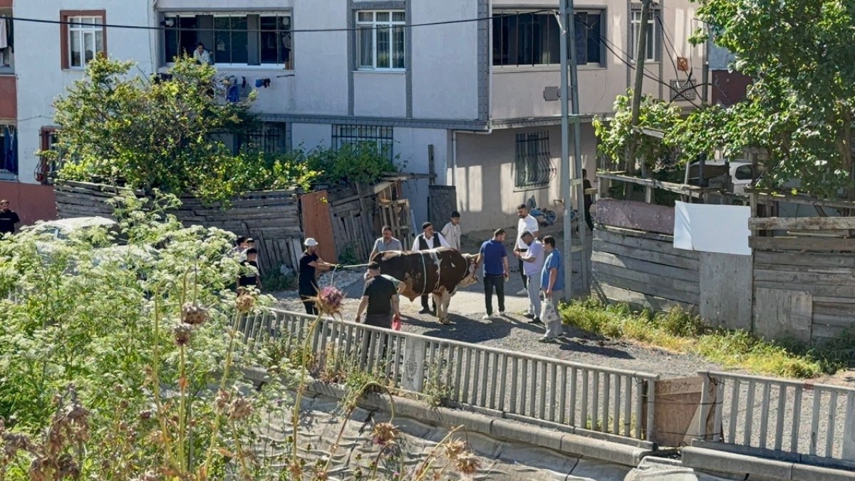 Kurban Bayramı'nda Kurallara Aykırı Kesimlere Zabıtadan Geçit Yok