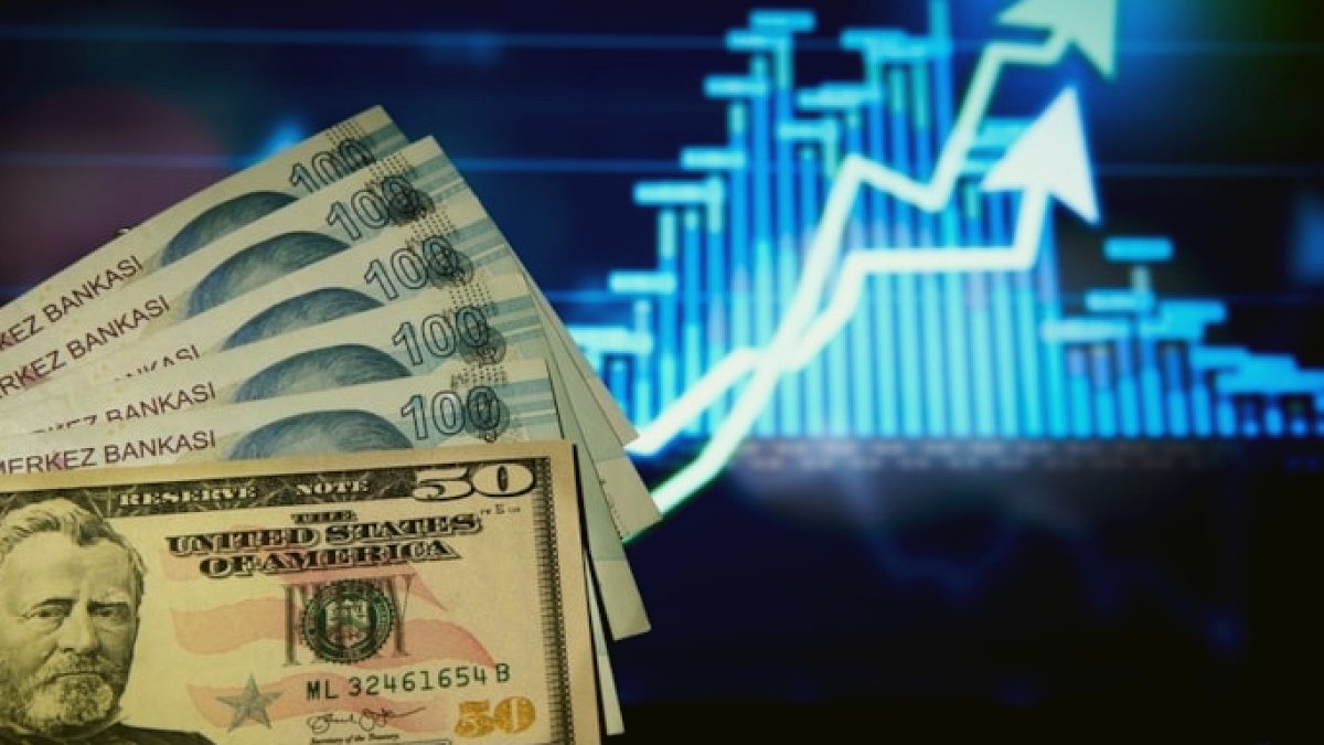 Merkez Bankası Döviz Satışıyla Piyasalardaki Fırtınayı Dindirmeye Çalıştı