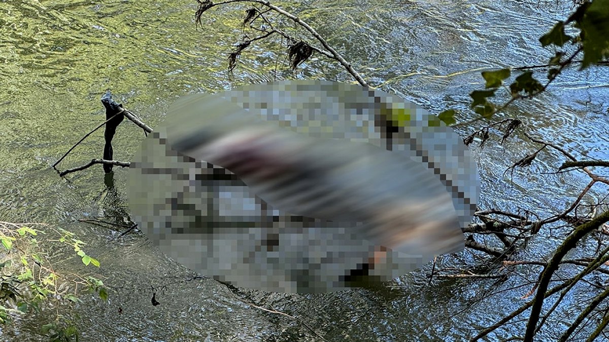 Tunca Nehri'nde Üzen Manzaralar: İki Kayıp Kişi Ölü Bulundu