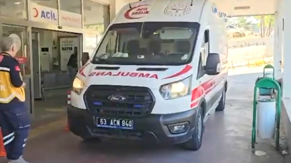 Yılan Paniği: Tüfekle Ateş Açtı, 5 Kişi Yaralandı
