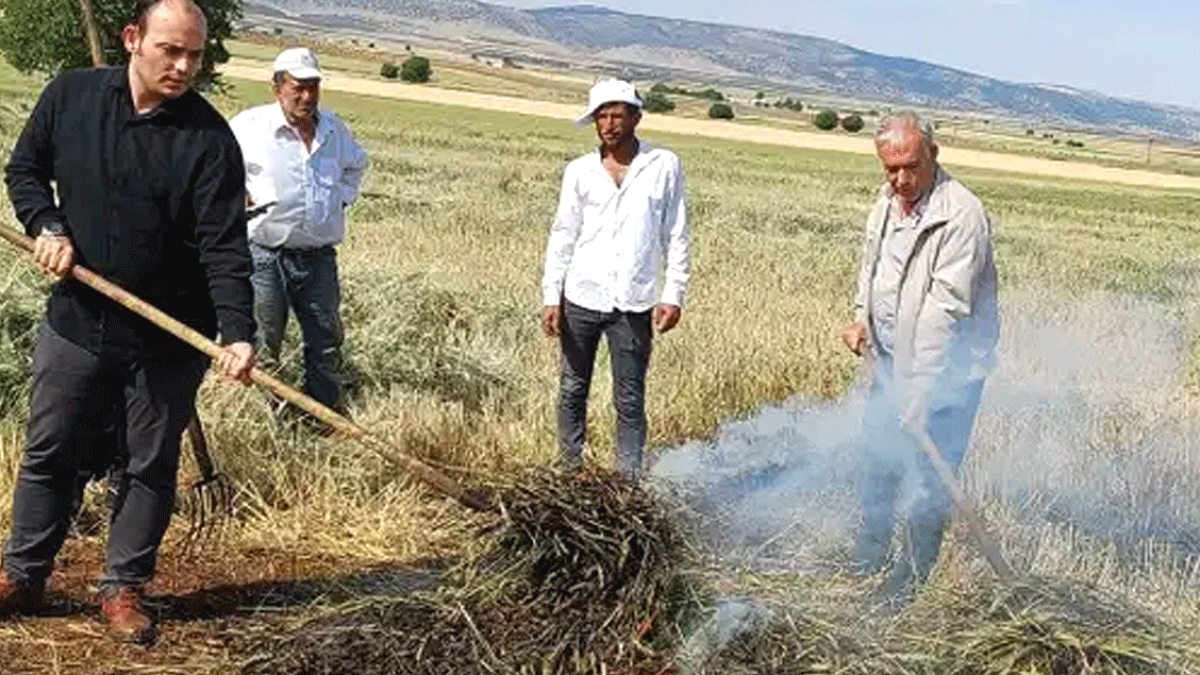 Gaziantep'te Hasadı Başlayan Firiğin Gizemli Dünyası
