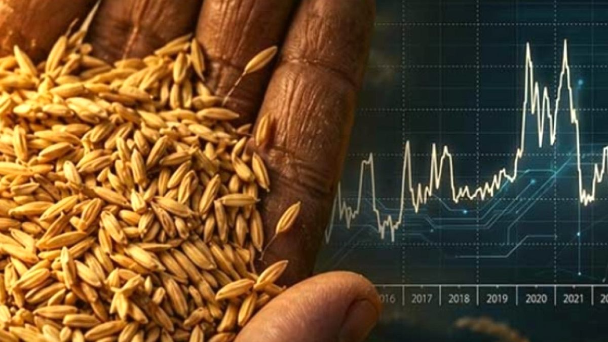 Pirinç Fiyatlarında 17 Yılın Zirvesi: Küresel Gıda Krizi Kapıda