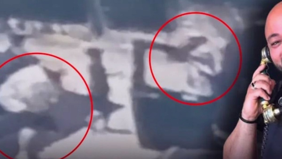 Polat Ailesinin Yakınında Silahlı Saldırı: Korumalık Yapan Akraba Hayatını Kaybetti