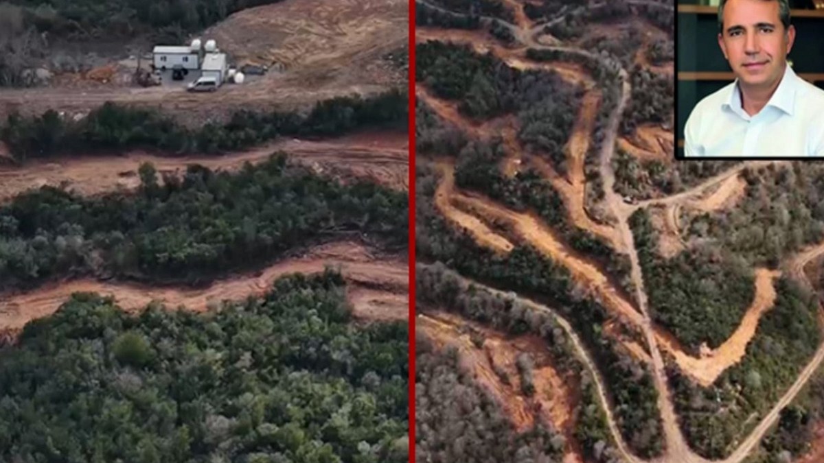 Beykoz'daki Dev Orman Arazisi Yapılaşmaya Açıldı: İmar İzni Tartışmaları