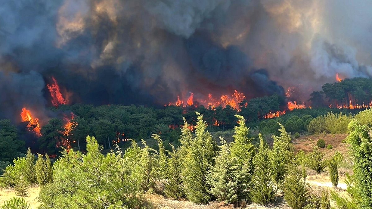 Çanakkale'de Orman Yangınları İçin Kritik Anız Yakma Yasağı