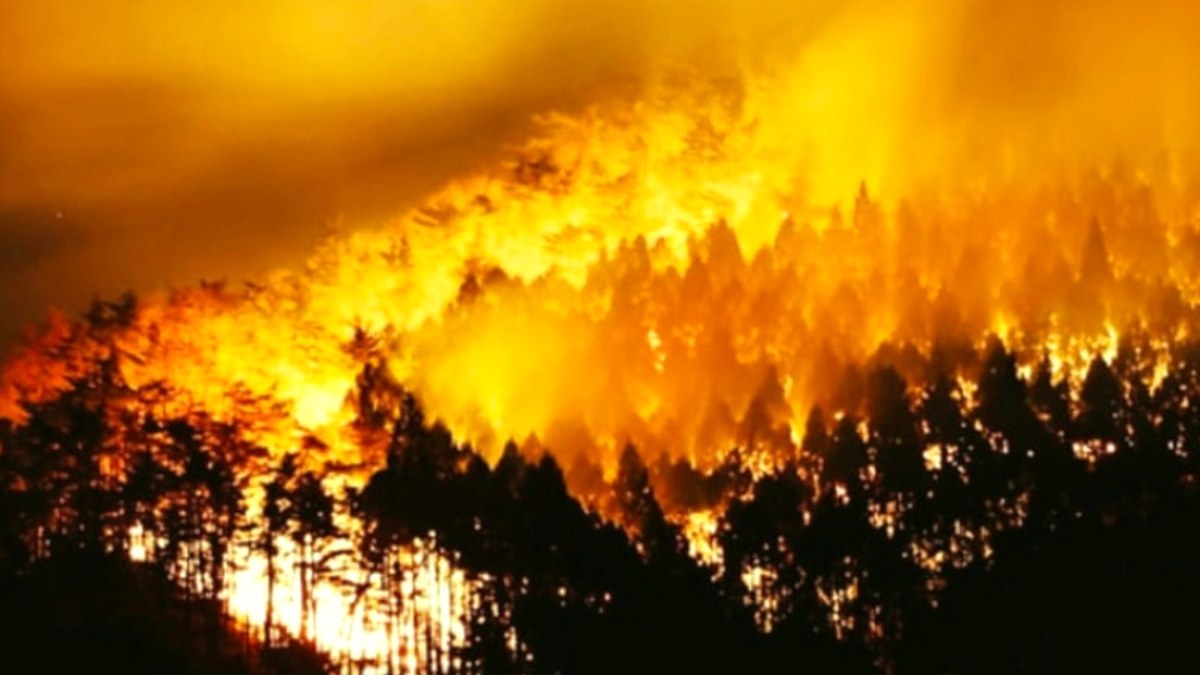El Niño Tehlikesi: Türkiye Aşırı Sıcaklar ve Yangınlarla Karşı Karşıya