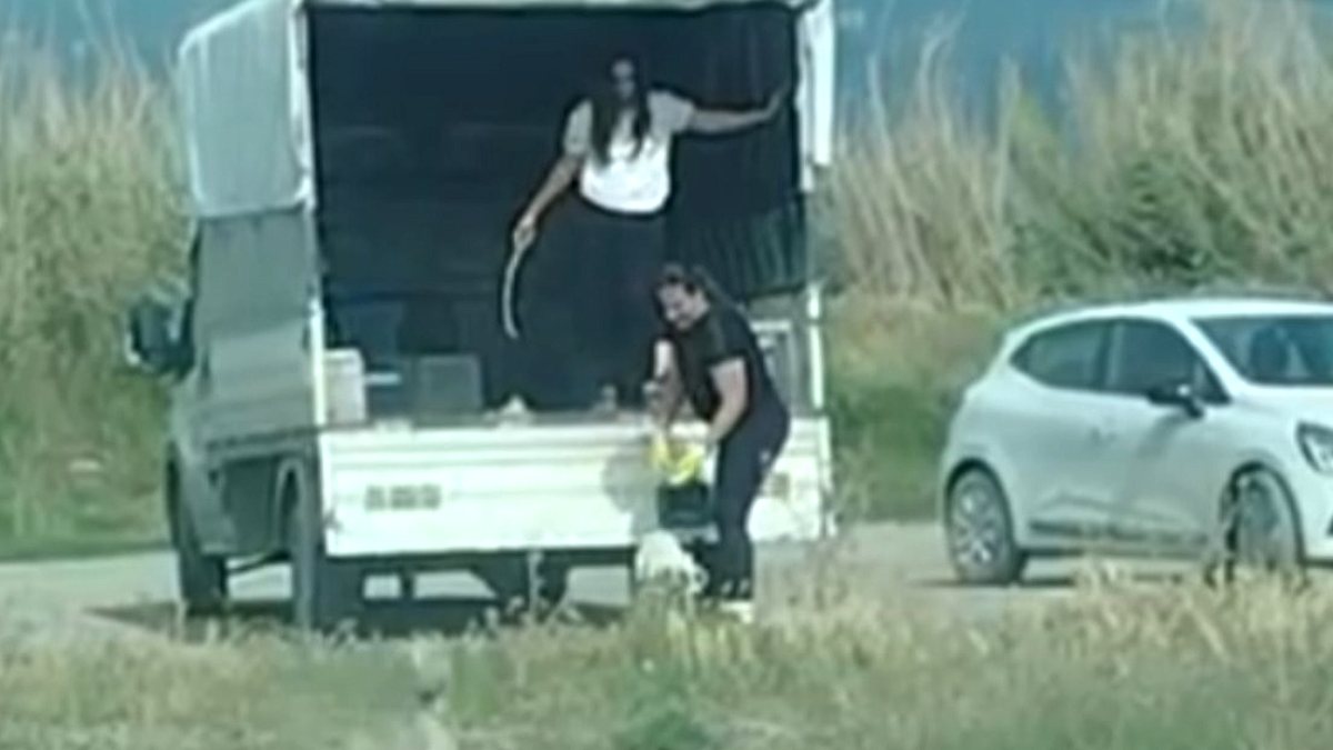 Sulak Alana Köpek Bırakıldı: Yaban Hayatı Tehlike Altında