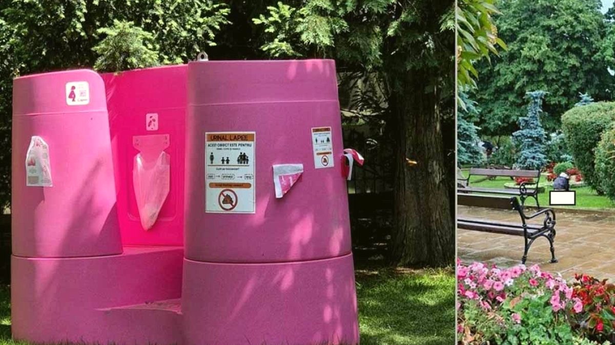 Romanya'da Parka Yerleştirilen Pembe Tuvalet Halkı İkiye Böldü