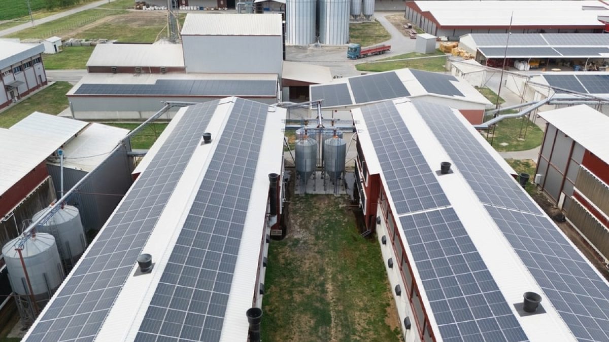Gelişmekte Olan Ülkeler Güneş Enerjisinde ABD'yi Geride Bırakıyor