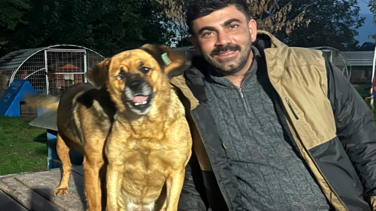 Yaşam Hakkı Savunucusu İbrahim Kaya'dan Çetelere Meydan Okuma: Tehditler Artıyor