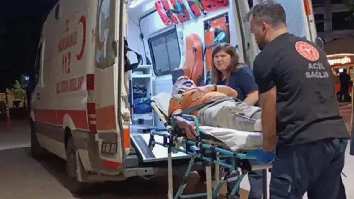 Erik Toplarken Ağaçtan Düşen Yaşlı Adam Hastanelik Oldu