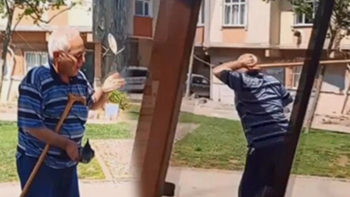 Yardım Ettiği Karganın Annesinden Saldırıya Uğradı