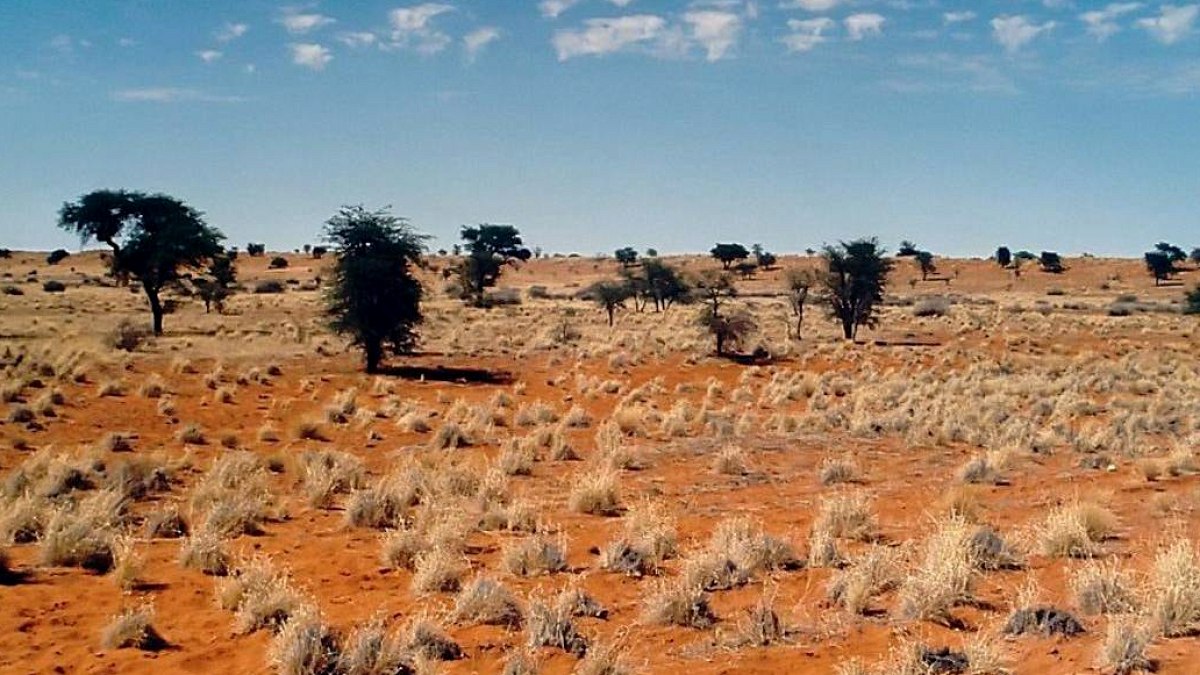Kalahari Çölü Altında Devasa Yeraltı Gölü Keşfedildi: Eşsiz Canlılara Ev Sahipliği Yapıyor