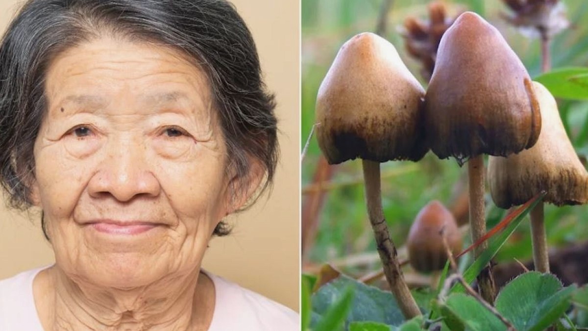 Alzheimer Hastası Kadında Mucize: 5 Yıllık Sessizlik Psilosibinle Sona Erdi
