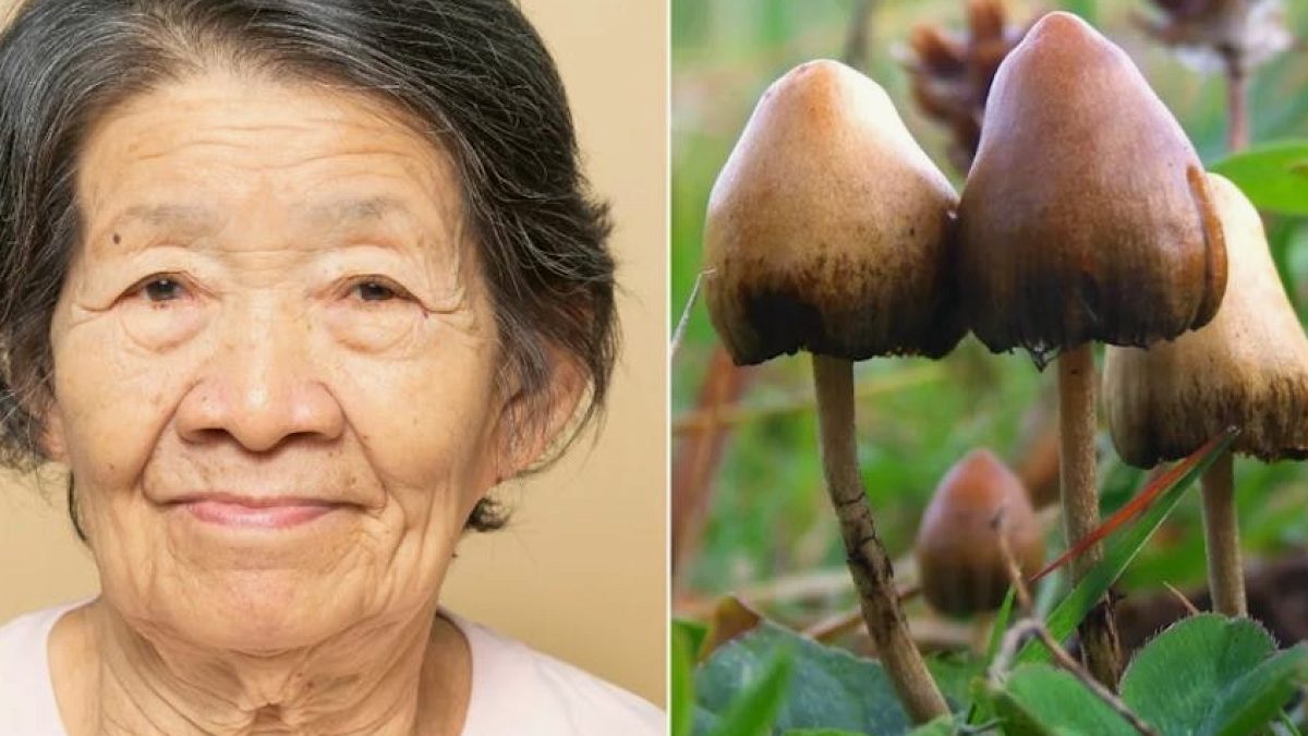 Alzheimer Hastası Kadında Mucize: 5 Yıllık Sessizlik Psilosibinle Bozuldu