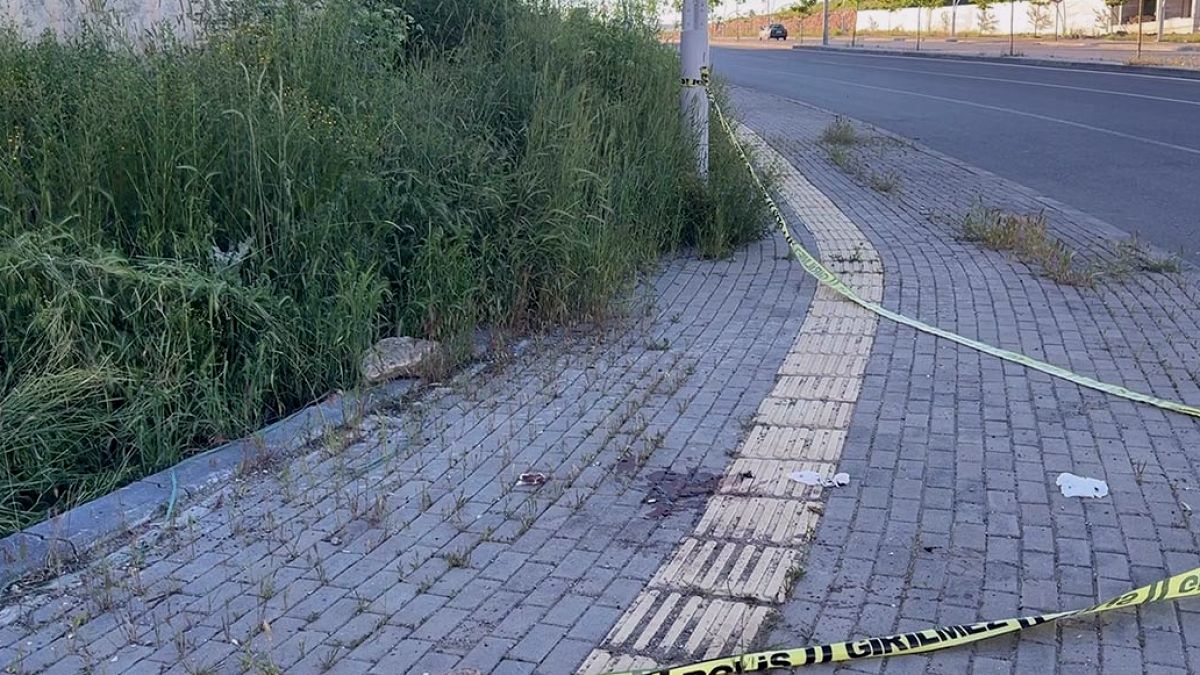 Sivas'ta Kan Donduran Balta Dehşeti: 3 Kişi Ağır Yaralandı, Fail Yakalandı