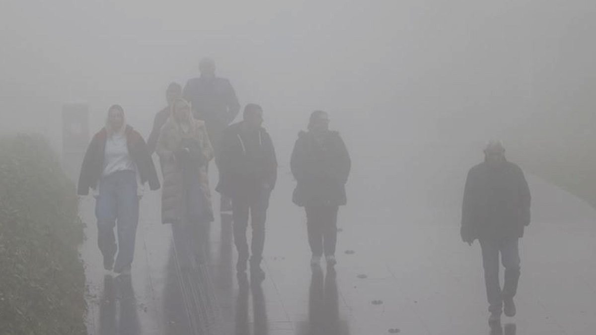 Bilim Dünyası Şaşkın: Sislerin İçinde Gizli Bir Dünya Keşfedildi